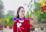 Avi-mp4-下辈子不一定还能遇见你-陈雅森-DJ车载-车载美女写真视频