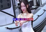 Avi-mp4-偏爱-清唯-DJ版-车载美女车模视频