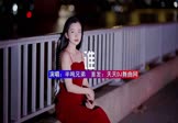 Avi-mp4-谁-半吨兄弟-DJYuu-车载美女写真视频