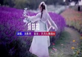 Avi-mp4-探故知-浅影阿-DJ车载-车载美女写真视频