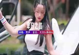 Avi-mp4-平凡之路-男声-DJ车载-车载美女DJ打碟视频