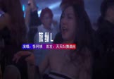 Avi-mp4-放纵L-怪阿姨-DJHouse-车载夜店DJ视频