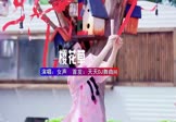 Avi-mp4-樱花草-女声-DJ车载-车载美女写真视频