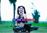 Avi-mp4-十字路口-吴奇隆-DJ安瑾-车载美女写真视频