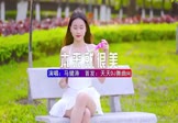 Avi-mp4-你本来就很美-马健涛-DJ伟然-车载美女写真视频