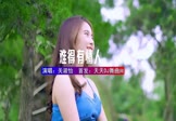 Avi-mp4-难得有情人-关淑怡-DJHouse-车载美女写真视频