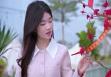 Avi-mp4-望爱止步-98k-DJ版-车载美女写真视频
