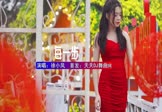 Avi-mp4-每一步-徐小凤-DJHouse-车载美女写真视频