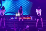 Avi-mp4-葡萄-男声-DJHouse-车载夜店DJ视频