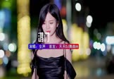 Avi-mp4-鸿门-女声-DJHouse-车载美女写真视频