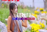 Avi-mp4-拒绝融化的冰-潘美辰-DJ安瑾-车载美女写真视频
