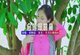 Avi-mp4-会呼吸的痛-梁静茹-DJHouse-车载美女写真视频