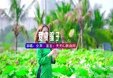 Avi-mp4-爱情骗子我问你-女声-DJHouse-车载美女写真视频