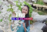 Avi-mp4-康电情歌-网络-DJHouse-车载美女写真视频