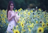 Avi-mp4-爱愁-女声-DJHouse-车载美女写真视频